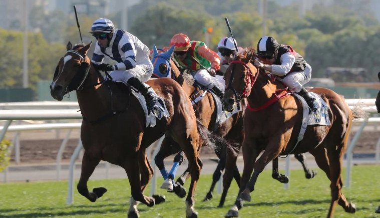 How Families of Racehorses Produce Champions