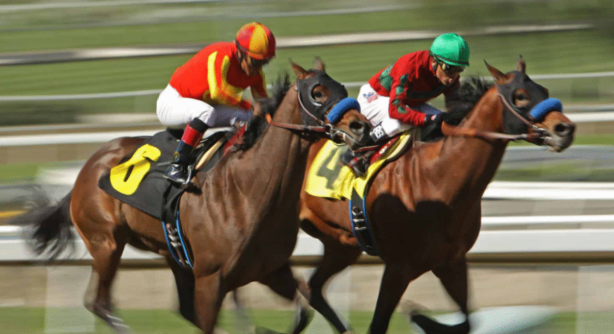 How Famous Racehorses Are Remembered Today