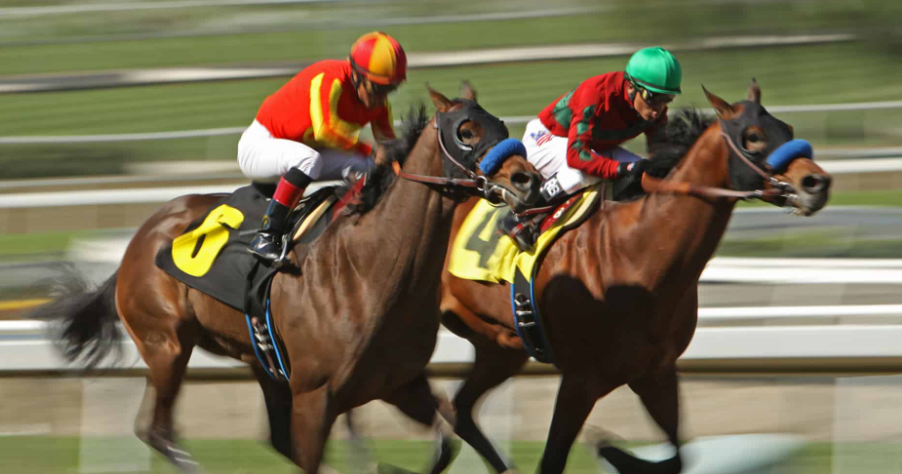 How Famous Racehorses Are Remembered Today