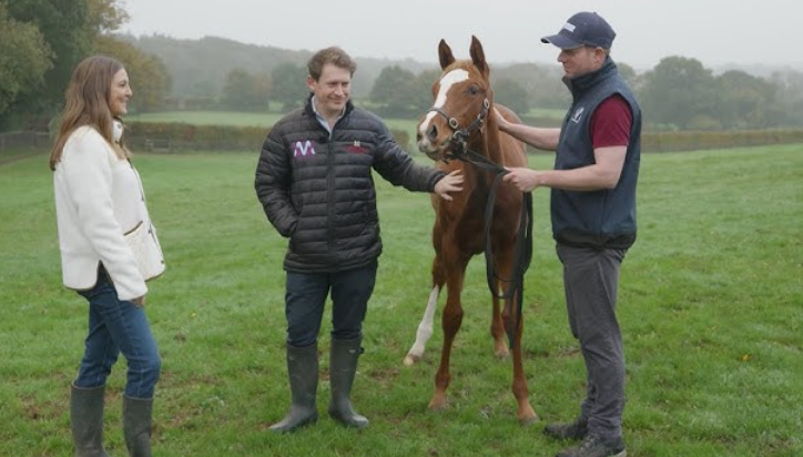 How Foals Are Raised for Racing