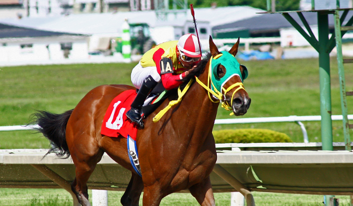 How Genetics Shape Racehorse Ability